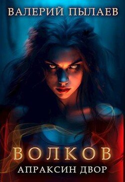 Волков-2-Pylaev Valerii Apraksin dvor