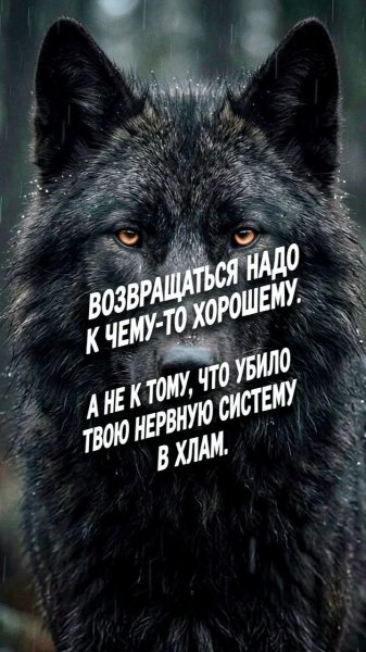 Научитесь переступать через тех, кто вами не дорожит!