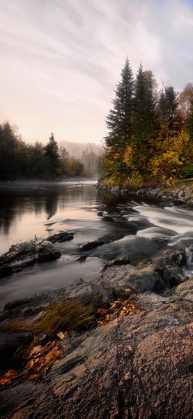 file_93886959