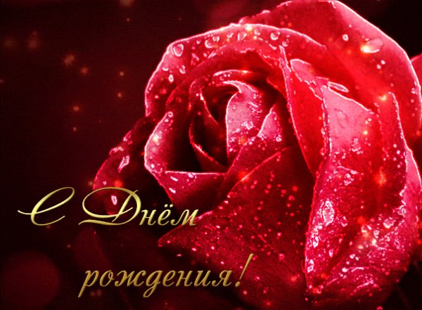 dayname ru 1511