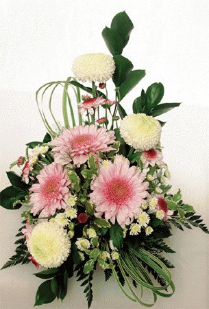file_85269162