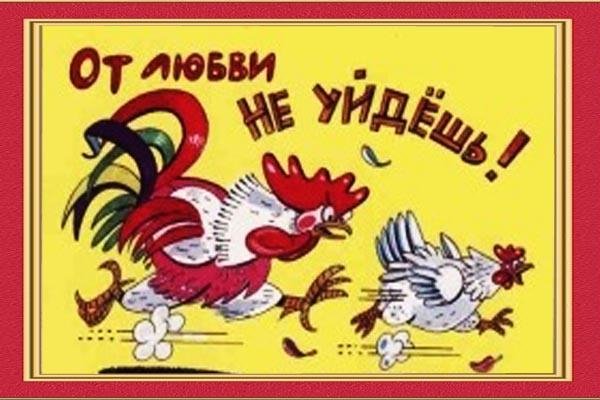 СВОЙ АНЕКДОТ