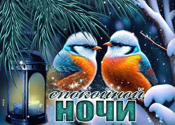 IMG-20240221-WA0006