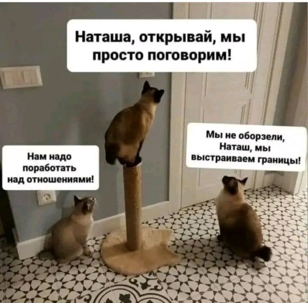 file_103410889