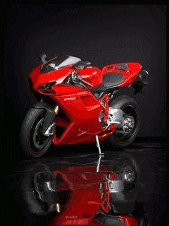 Ducatti