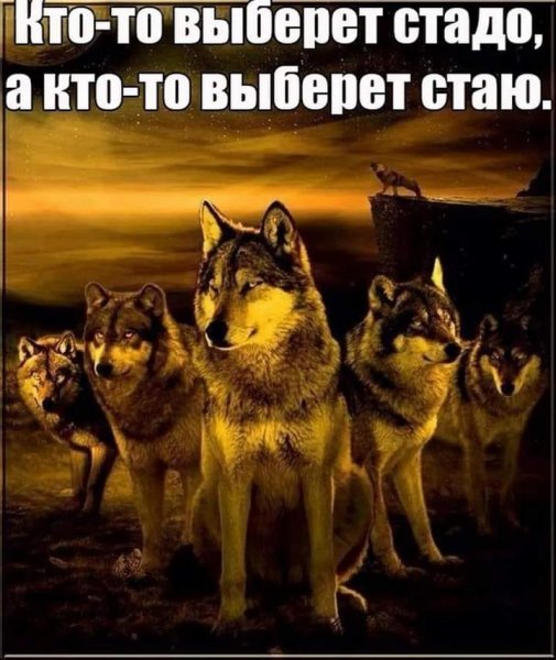 Кто-то