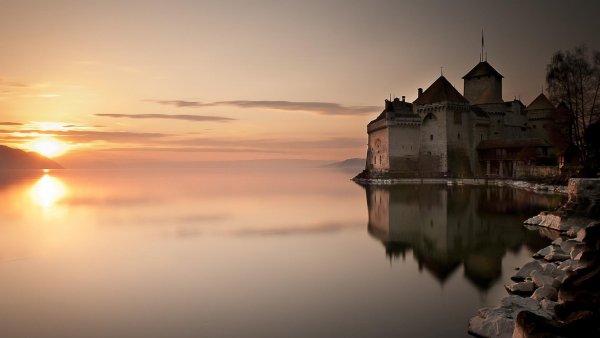 4в (3162) (Copy) (Copy)