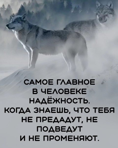 Надёжность