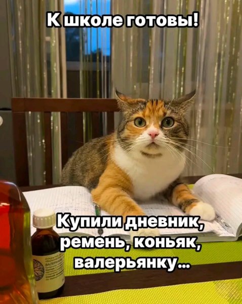 file_103312116