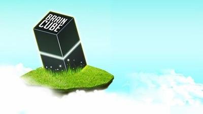 1 brain cube