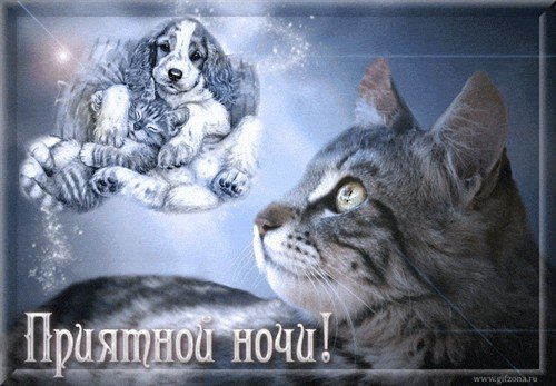 Приятной ночи