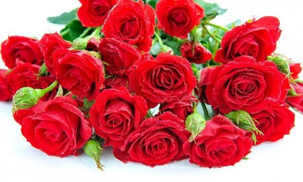 image (81)