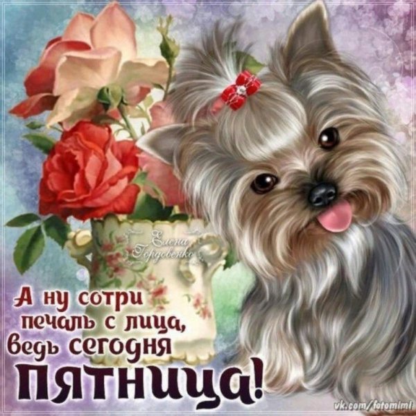 file_90863042