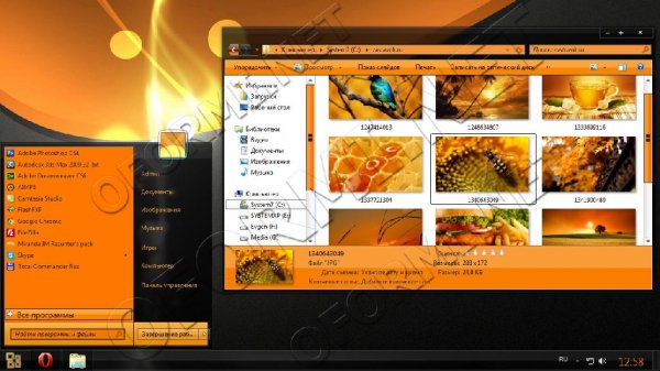 Orange-Luxy