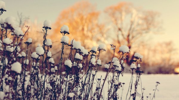 file_82034036