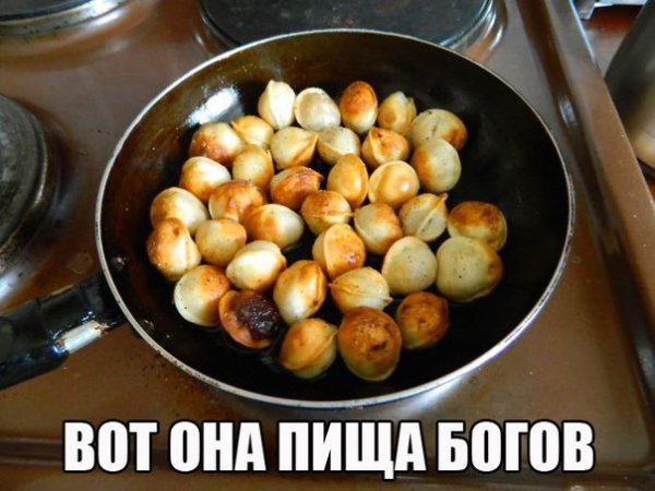 file_74511896