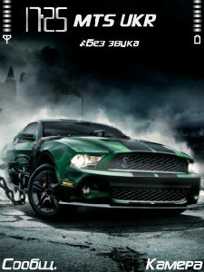 Shelby GT