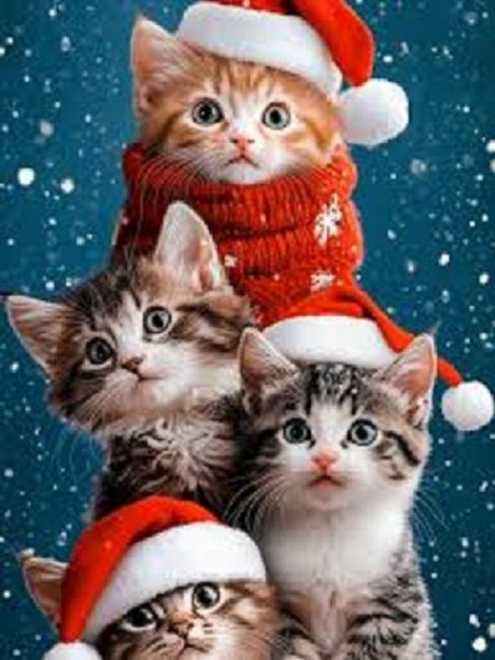 Новогодний кот. (15)