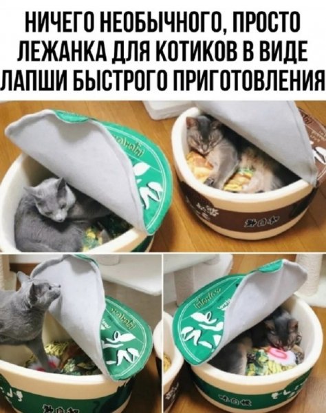 file_101233150