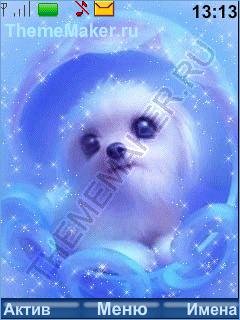 Dogs