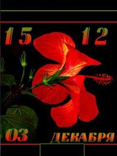 Аленький цветочек35