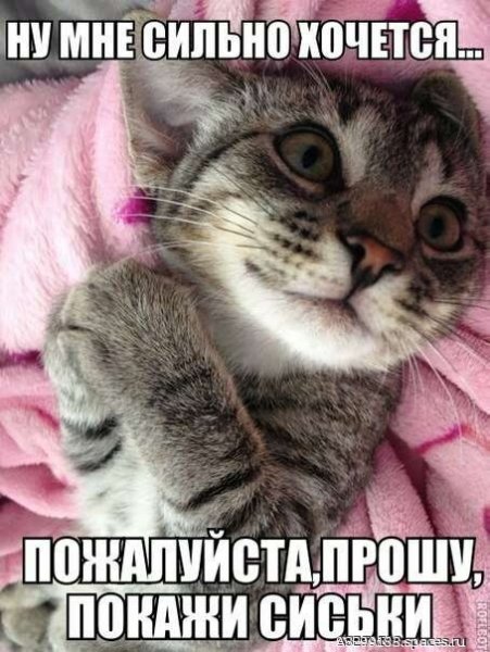 32RcWe9gPgqqM. 000