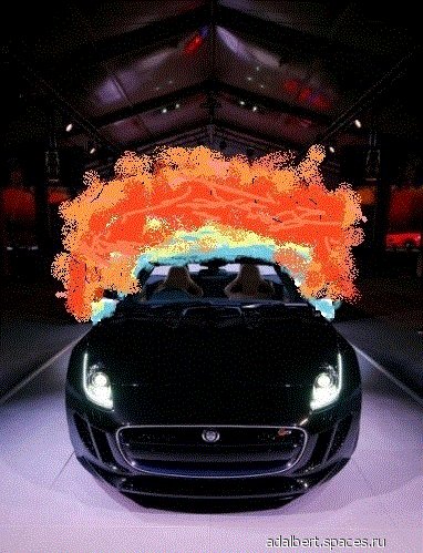 F-Type