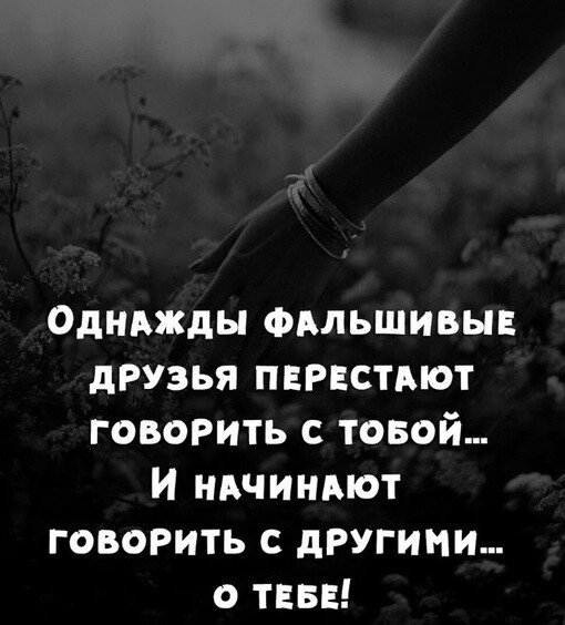 IMG 20231205 154031