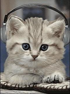 Ttpod плеер Котенок в наушниках-cat music
