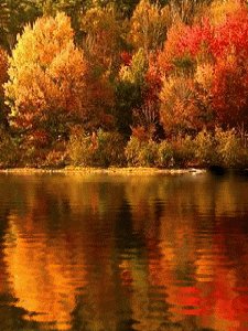 Афигительная Природа