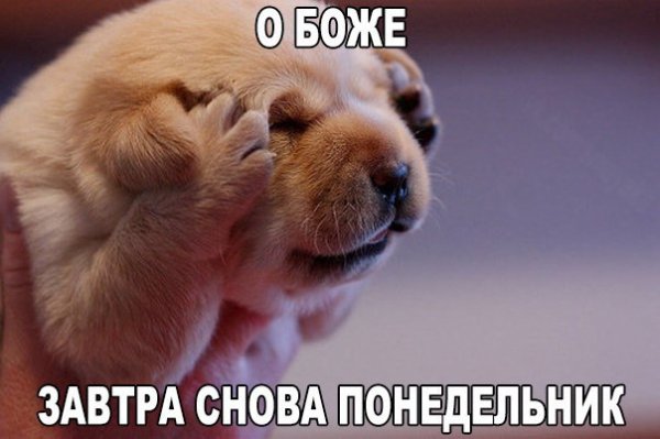 GgknR5vX4Cc