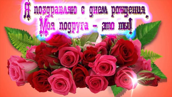file_81288139