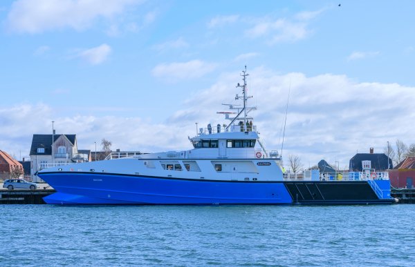 IMG Balchik viter59