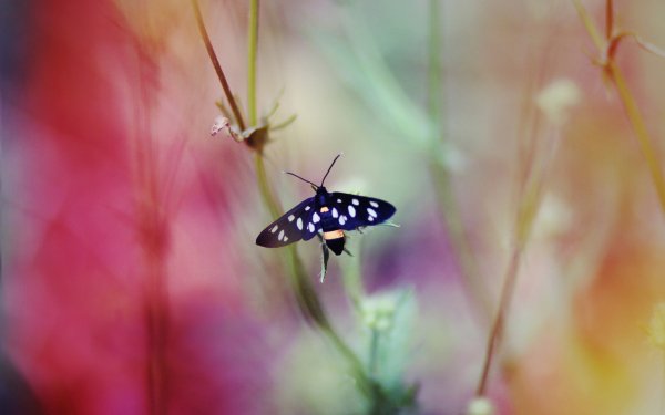 file_90631437