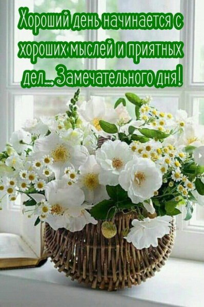 Замечательного дня