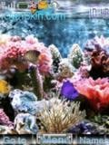 aquarium 4ab142ef9f2b9