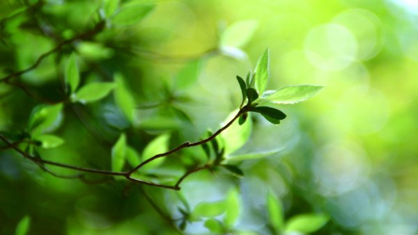 file_84012626