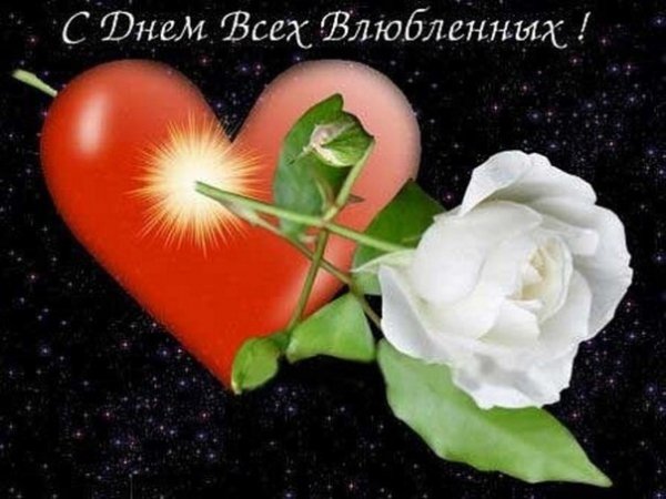 file_81221127