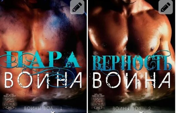 Воины Вов. Дилогия
