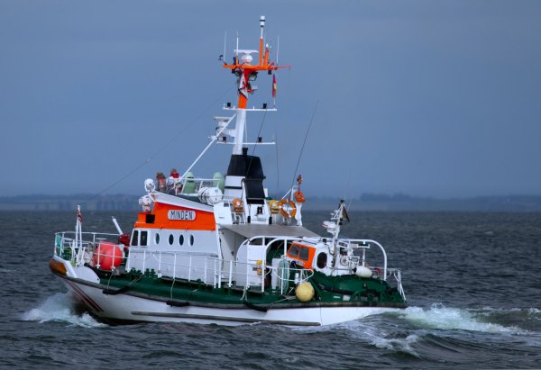 IMG 211155 viter59