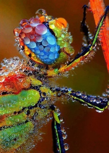 file_47710133