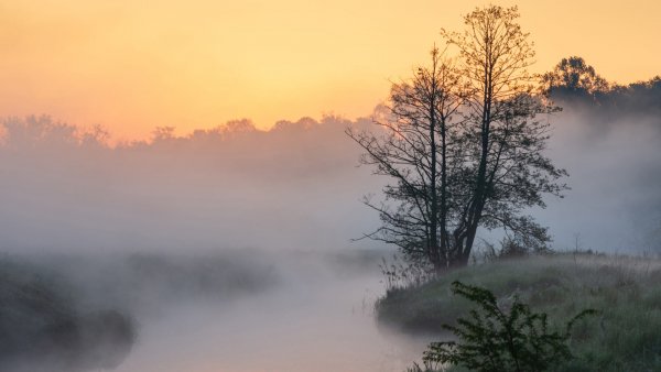 file_93714595