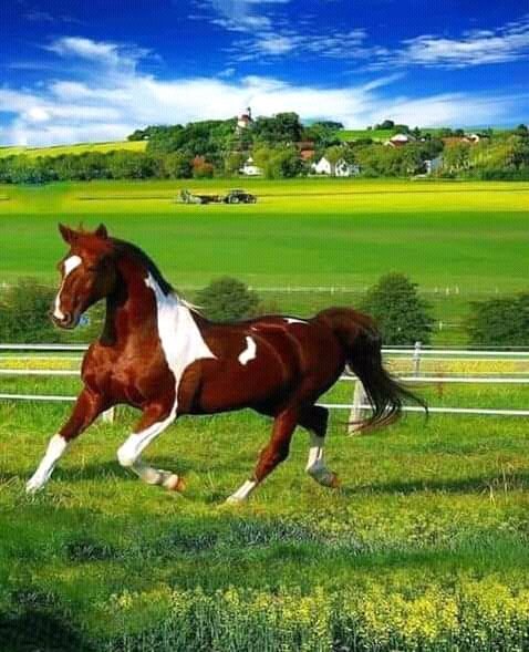 FB IMG 16301368671931124
