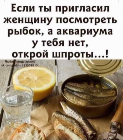 IMG 20241009 070358