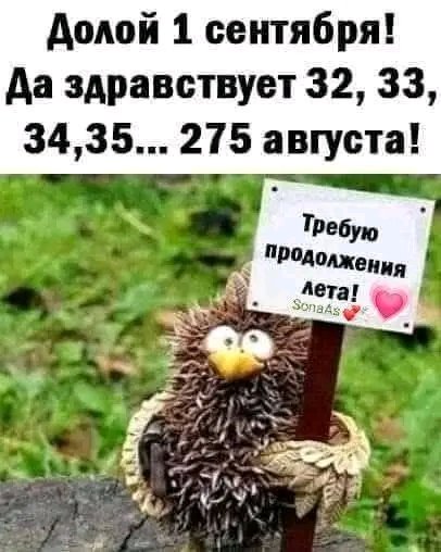 file_103313604