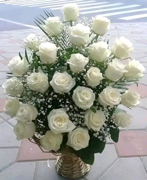 file_95827591