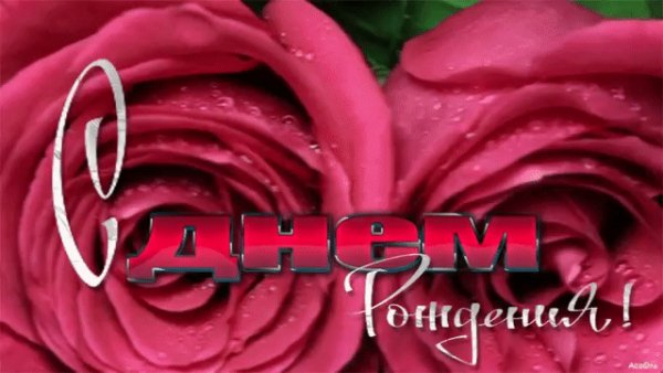 file_81497465