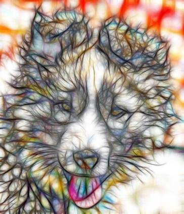 Redfield Fractalius 2.80
