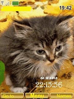 theme 75492