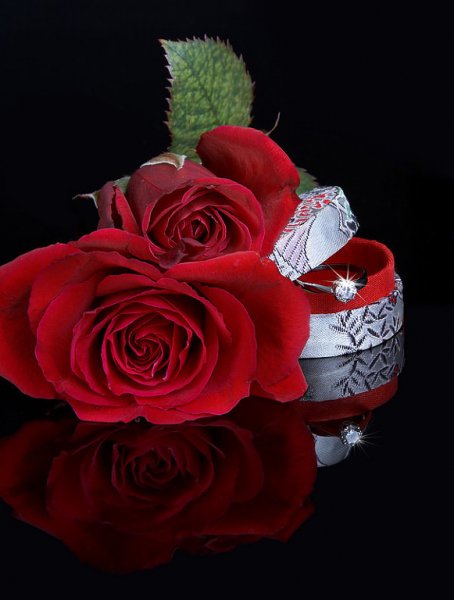 IMG 20150206 180659 49